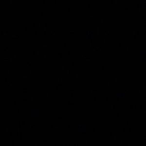 Meet your Posher, Connor